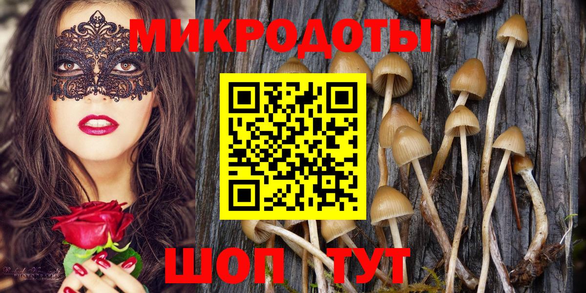 Псилоцибиновые грибы Psilocybine cubensis Нижний Тагил